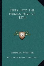 Peeps Into the Human Hive V2 (1874)