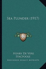 Sea Plunder (1917)