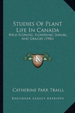 Studies of Plant Life in Canada: Wild Flowers, Flowering Shrubs, and Grasses (1906)