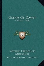 Gleam of Dawn: A Novel (1908)