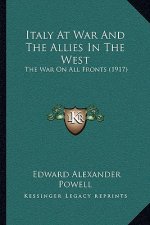 Italy at War and the Allies in the West: The War on All Fronts (1917)