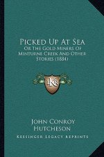 Picked Up At Sea: Or The Gold Miners Of Minturne Creek And Other Stories (1884)