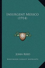 Insurgent Mexico (1914)