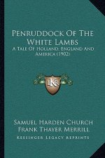 Penruddock of the White Lambs: A Tale of Holland, England and America (1902)