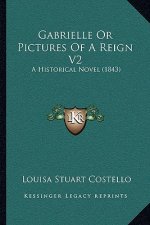 Gabrielle or Pictures of a Reign V2: A Historical Novel (1843)
