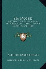 Sea Mosses: A Collector's Guide and an Introduction to the Study of Marine Algae (1881)