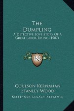 The Dumpling: A Detective Love Story Of A Great Labor Rising (1907)