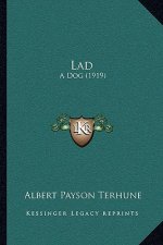 Lad: A Dog (1919)