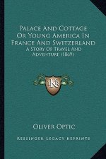 Palace and Cottage or Young America in France and Switzerland: A Story of Travel and Adventure (1869)