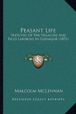 Peasant Life: Sketches of the Villagers and Field Laborers in Glenaldie (1871)