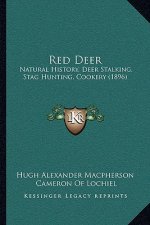 Red Deer: Natural History, Deer Stalking, Stag Hunting, Cookery (1896)