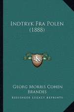 Indtryk Fra Polen (1888)