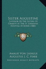 Sister Augustine: Superior of the Sisters of Charity at the St. Johannis Hospital at Bonn (1880)