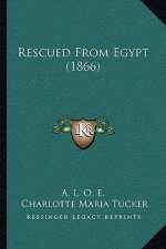 Rescued from Egypt (1866)