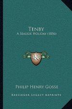 Tenby: A Seaside Holiday (1856)