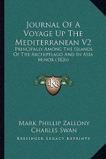 Journal of a Voyage Up the Mediterranean V2: Principally Among the Islands of the Archipelago and in Asia Minor (1826)