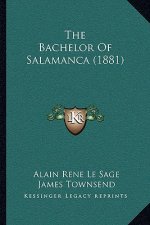 The Bachelor of Salamanca (1881)