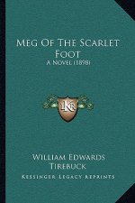 Meg of the Scarlet Foot: A Novel (1898)