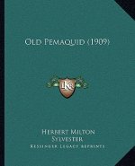 Old Pemaquid (1909)