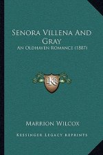 Senora Villena and Gray: An Oldhaven Romance (1887)