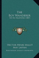 The Boy Wanderer: Or No Relations (1887)