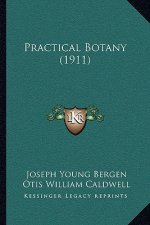 Practical Botany (1911)