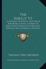 The Bibelot V3: A Reprint of Poetry and Prose for Book Lovers, Chosen in Part from Scarce Editions and Sources Not Generally Known (18