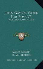 John Gay or Work for Boys V3: Work for Summer (1864)