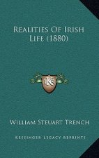 Realities of Irish Life (1880)