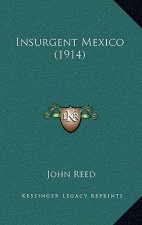 Insurgent Mexico (1914)