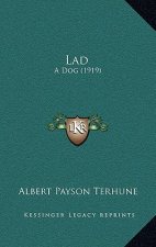 Lad: A Dog (1919)