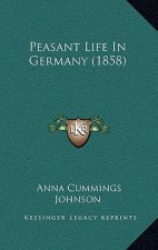 Peasant Life in Germany (1858)