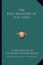 The Busy Brownies At Play (1916)