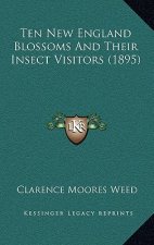 Ten New England Blossoms And Their Insect Visitors (1895)