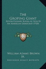 The Groping Giant: Revolutionary Russia as Seen by an American Democrat (1920)