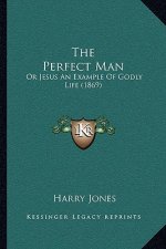 The Perfect Man: Or Jesus an Example of Godly Life (1869)