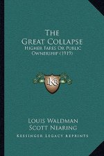 The Great Collapse: Higher Fares or Public Ownership (1919)