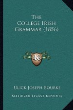 The College Irish Grammar (1856)