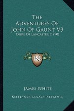 The Adventures Of John Of Gaunt V3: Duke Of Lancaster (1790)