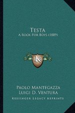 Testa: A Book For Boys (1889)
