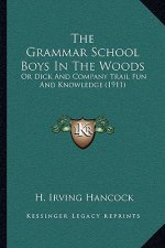 The Grammar School Boys In The Woods: Or Dick And Company Trail Fun And Knowledge (1911)