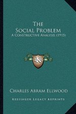 The Social Problem: A Constructive Analysis (1915)