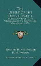 The Desert Of The Exodus, Part 1: Journeys On Foot In The Wilderness Of The Forty Years' Wanderings (1871)