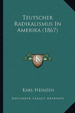 Teutscher Radikalismus in Amerika (1867)