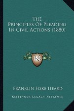 The Principles of Pleading in Civil Actions (1880)