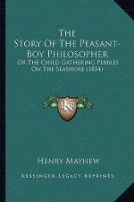 The Story Of The Peasant-Boy Philosopher: Or The Child Gathering Pebbles On The Seashore (1854)
