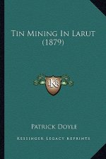 Tin Mining In Larut (1879)