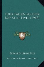 Your Fallen Soldier Boy Still Lives (1918)