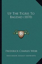 Up The Tigris To Bagdad (1870)