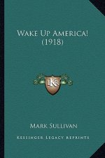 Wake Up America! (1918)